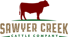 Sawyer Creek Cattle