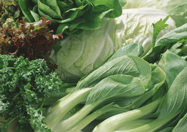 Discover the Power of Leafy Greens with Sawyer Creek Cattle HL-4.05