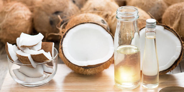 Cracking the Coconut: The Health Perks of Coconut Oil and Wellness at Sawyer Creek Cattle HL-4.12