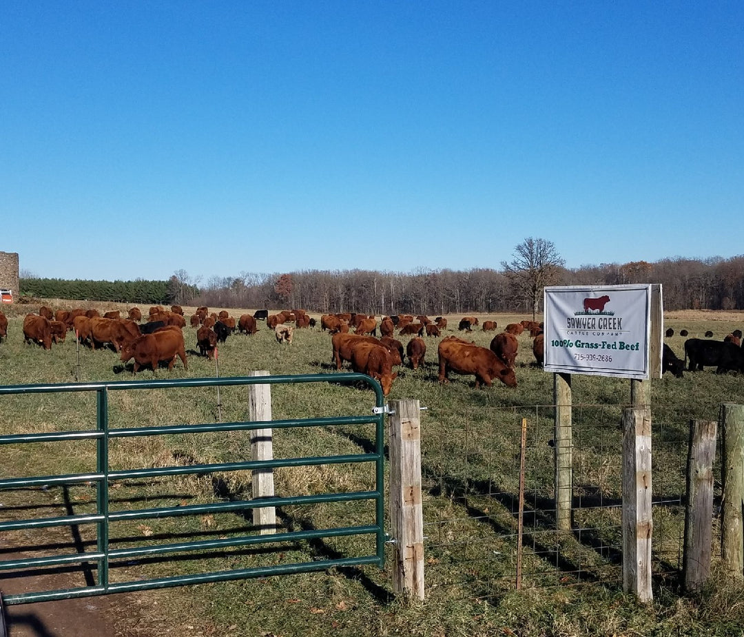 Wisconsin Grass-Fed Sawyer Creek Cattle Shell Lake WIsconsin regenerative agriculture organic natural foods locally sourced food spooner wisconsin hayward wisconsin vacation rentals family day at sawyer creek cattle farm to family premium meat
